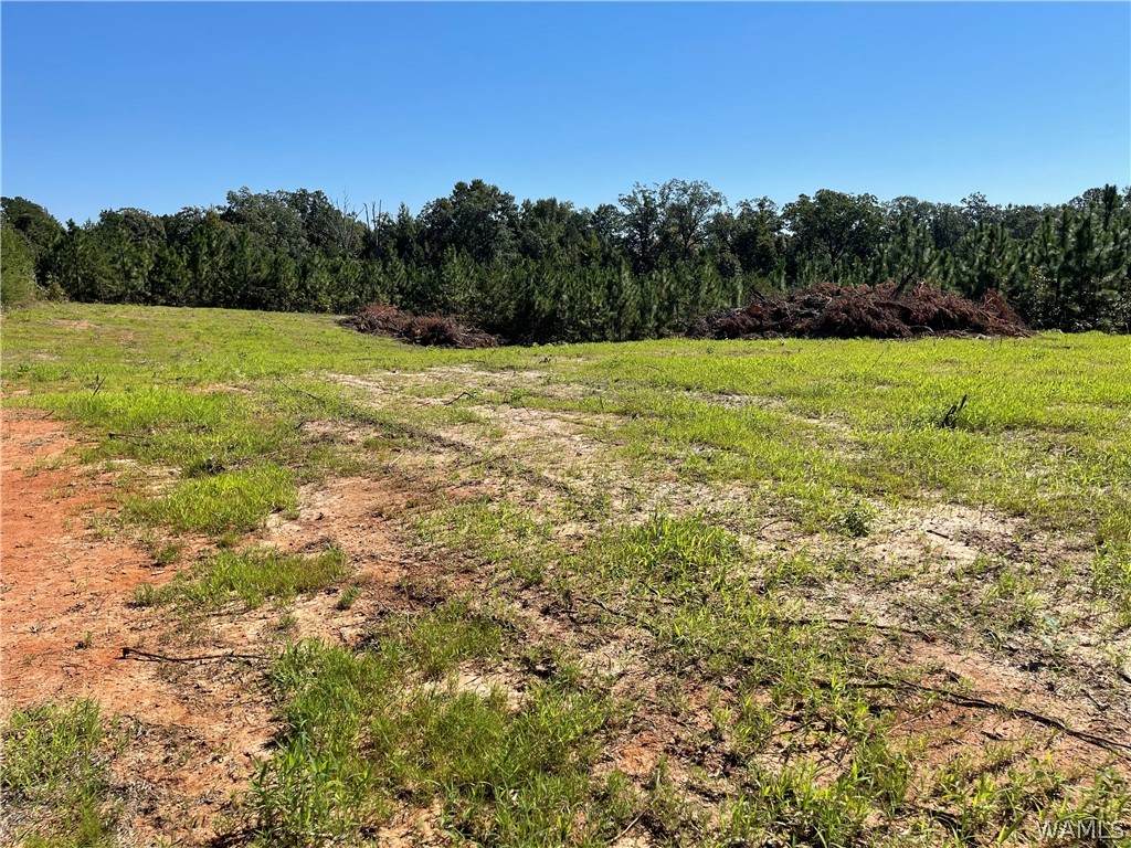 15243 Watermelon Road - Photo 1