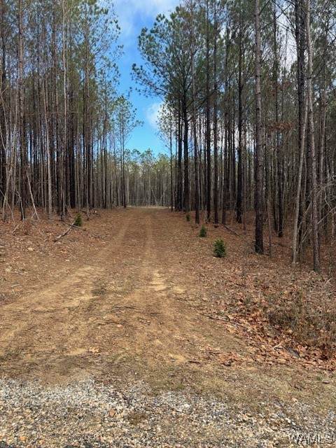 565 New Liberty Road - Photo 1
