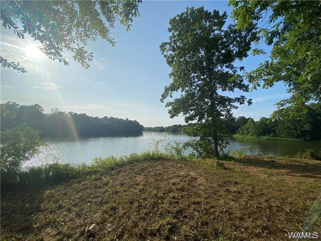 202 Cypress Point Lane - Photo 1