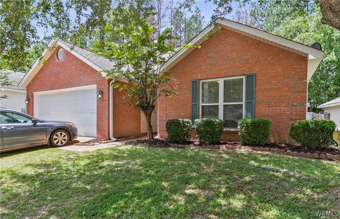 6532 Ash Hill Drive - Photo 1