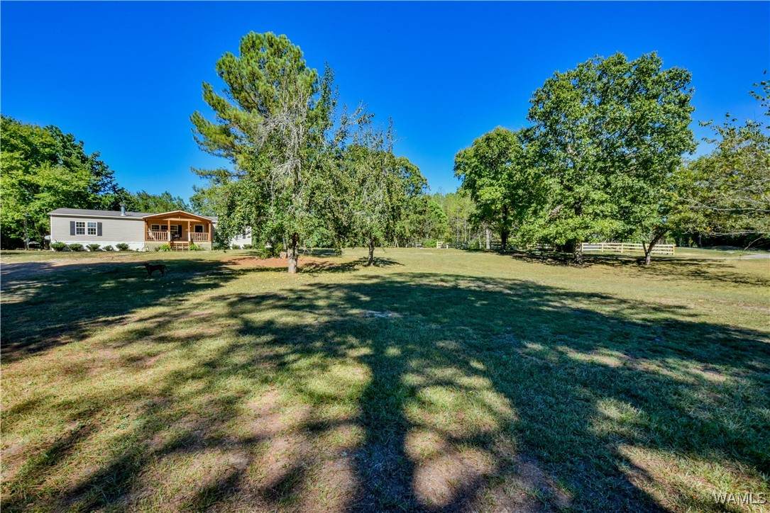 21061 Highway 18 E - Photo 1