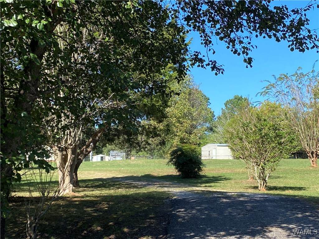 409 Hickory Lane - Photo 1