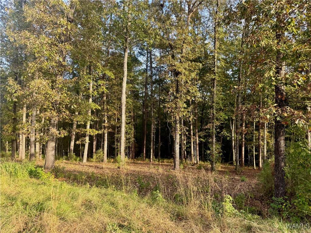 23 Edgewater Drive - Photo 1