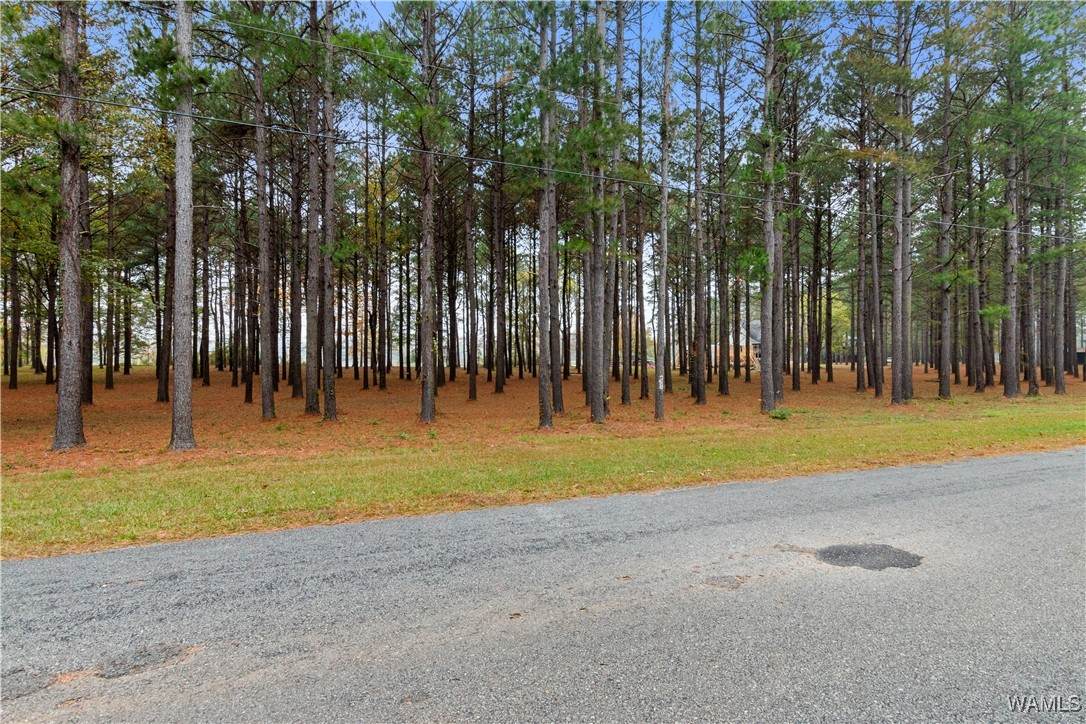 https://bt-photos.global.ssl.fastly.net/tuscaloosa/orig_boomver_1_165925-2.jpg
