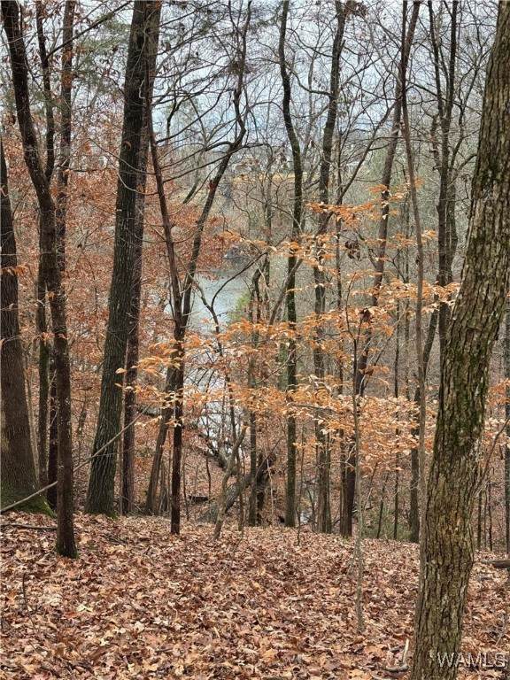 6638 Waterfront Drive - Photo 1