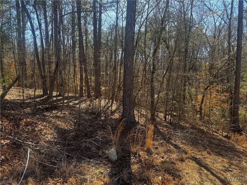 https://bt-photos.global.ssl.fastly.net/tuscaloosa/orig_boomver_1_167772-2.jpg