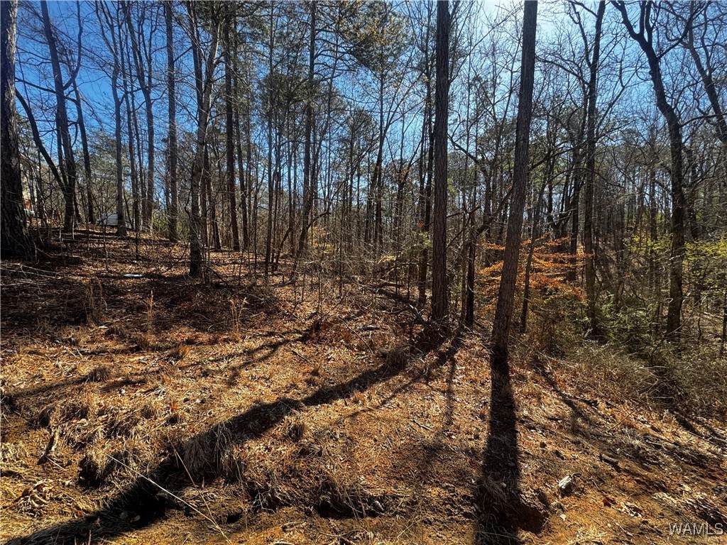 https://bt-photos.global.ssl.fastly.net/tuscaloosa/orig_boomver_1_167772-2.jpg
