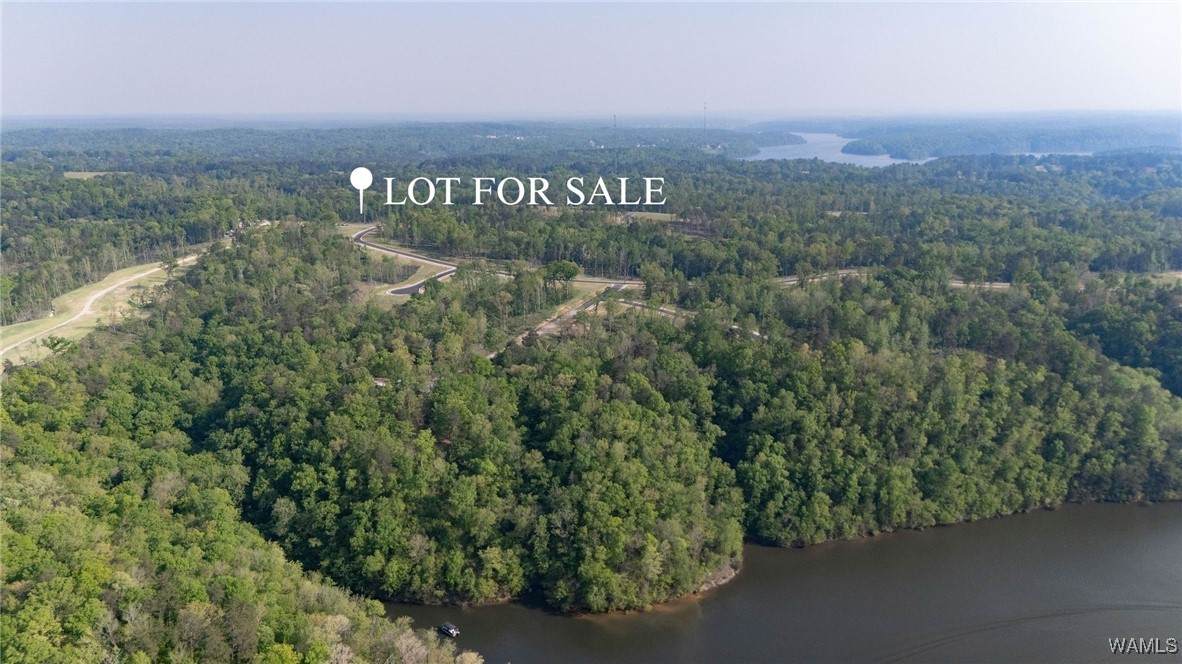 7 Lake Island Road - Photo 1