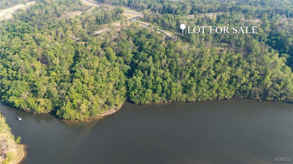 89 Cyprus Cove - Photo 1