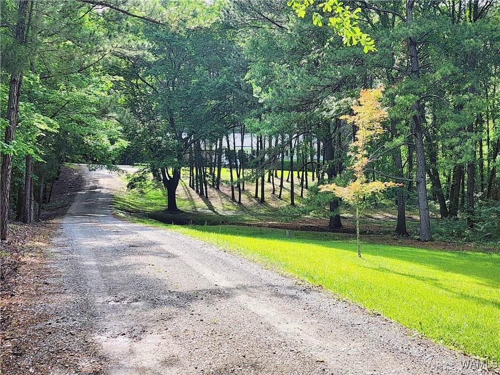 14541 Keenes Mill Road - Photo 1