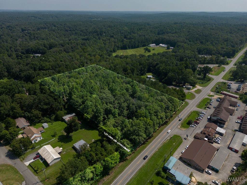 00 University Boulevard - Photo 1