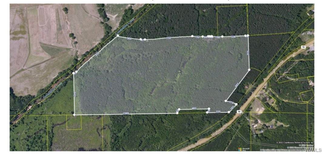 00 Hwy. 96 - Photo 1