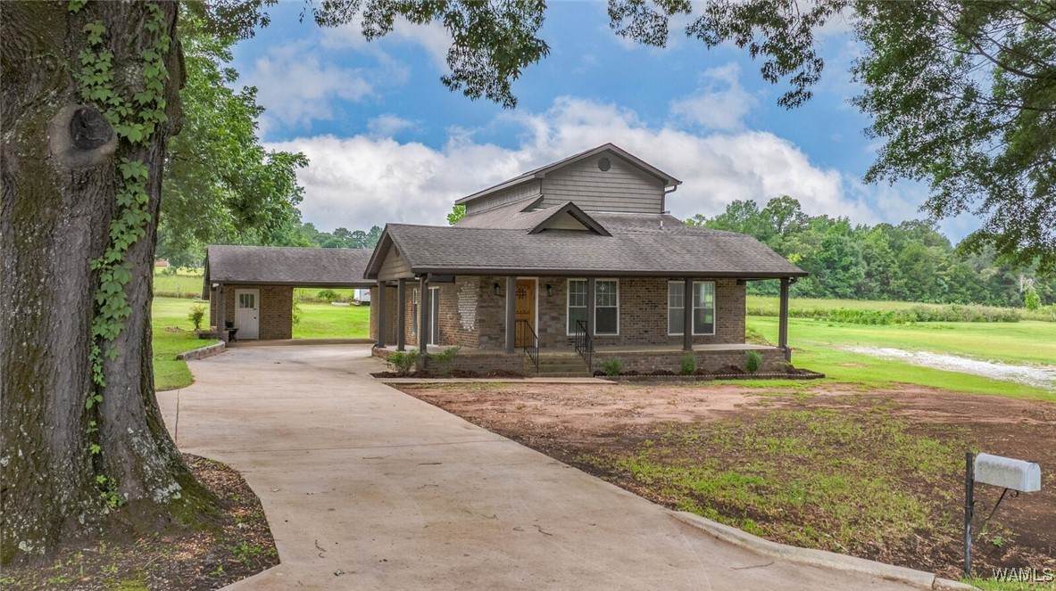 11376 Kings Loop Road - Photo 1