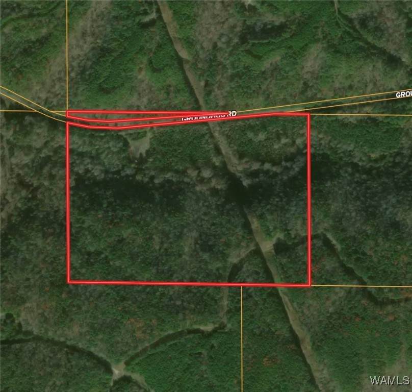 8648 Groundhog Road - Photo 1