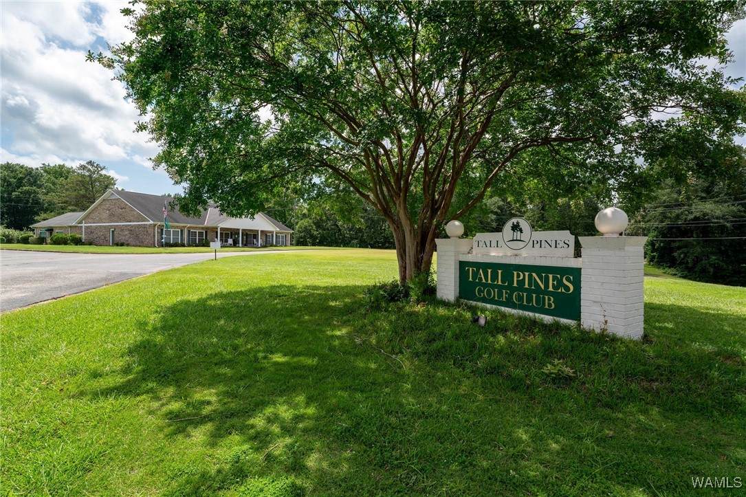 5604 Woodland Forrest Drive - Photo 1