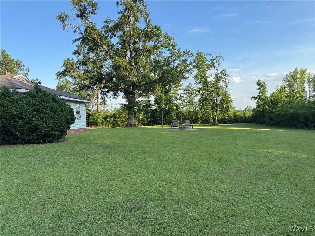 https://bt-photos.global.ssl.fastly.net/tuscaloosa/orig_boomver_1_169650-2.jpg