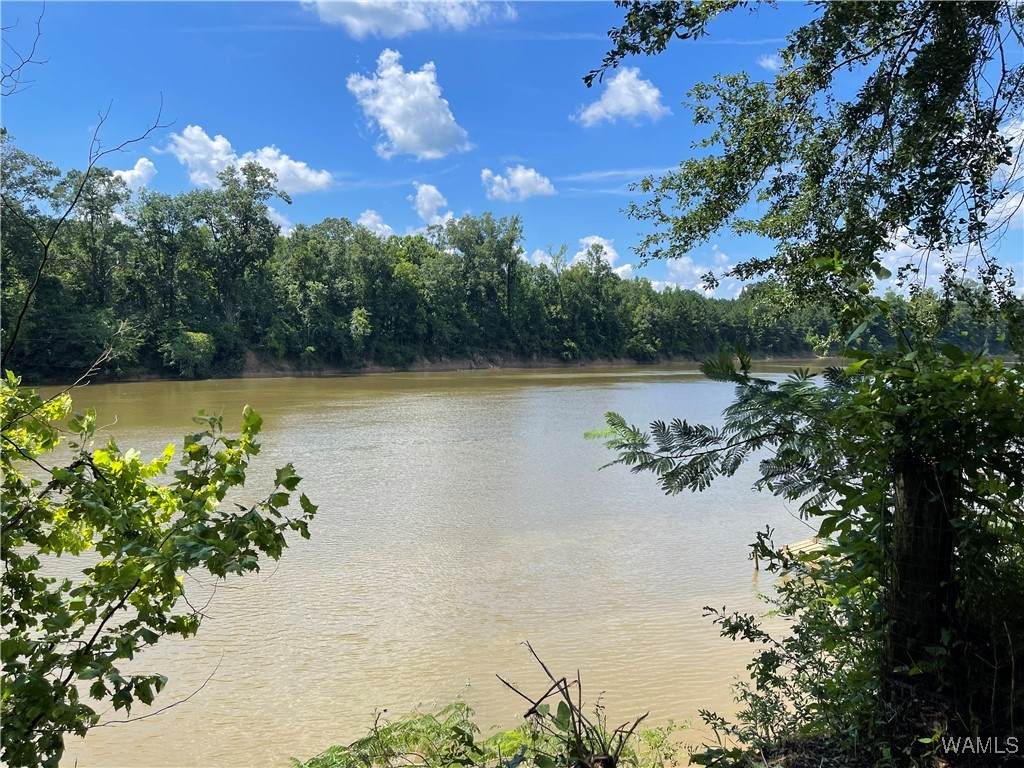 195 Riverview Beach Rd - Photo 1