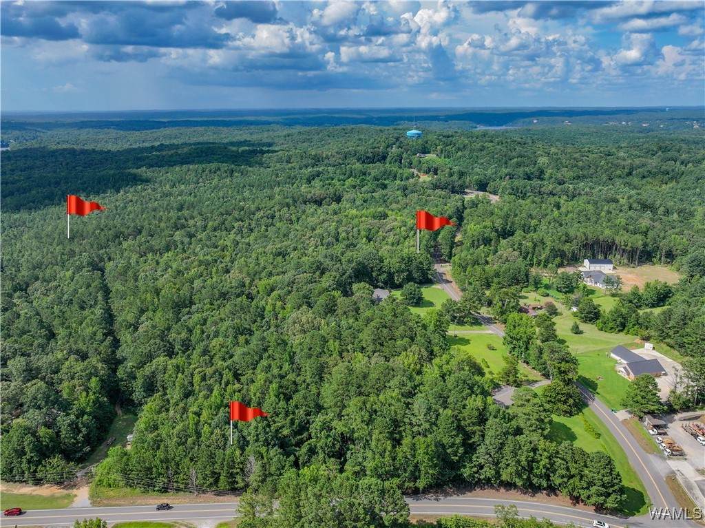 https://bt-photos.global.ssl.fastly.net/tuscaloosa/orig_boomver_1_169756-2.jpg