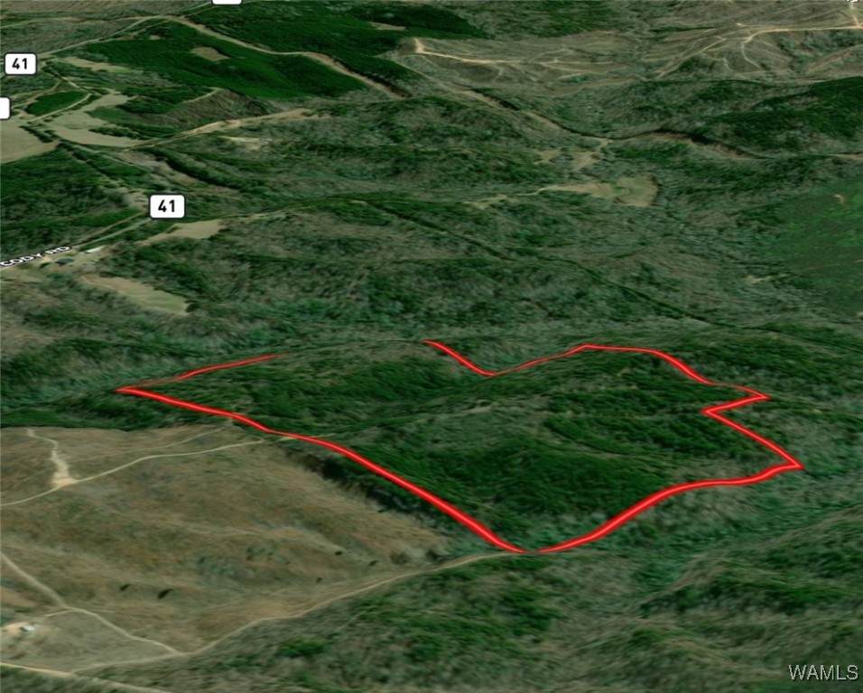 0 Snake Branch Road - Photo 1