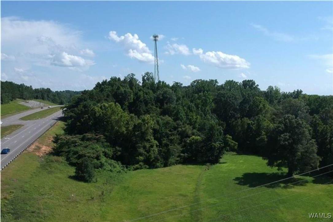 11771 Highway 69 S - Photo 1