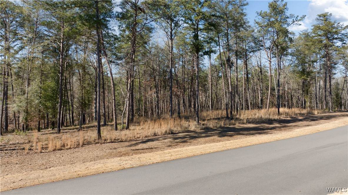 14180 Watercolor Drive - Photo 1