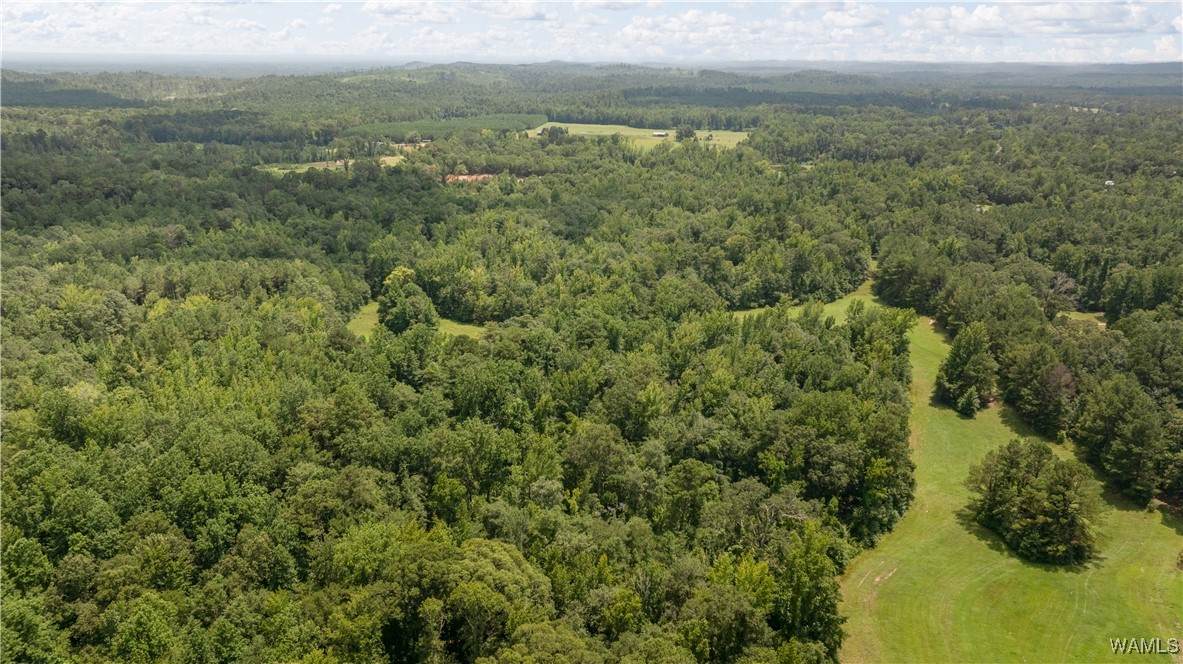 0 Smoky Ridge Road - Photo 1