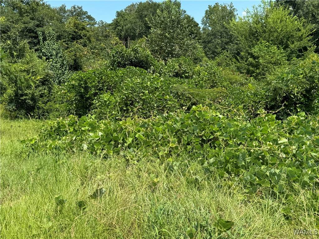 46 Shannon Lane - Photo 1