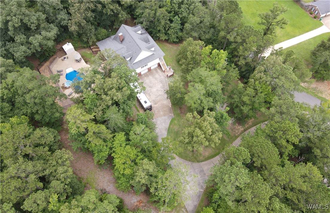 11495 Live Oak Drive - Photo 1