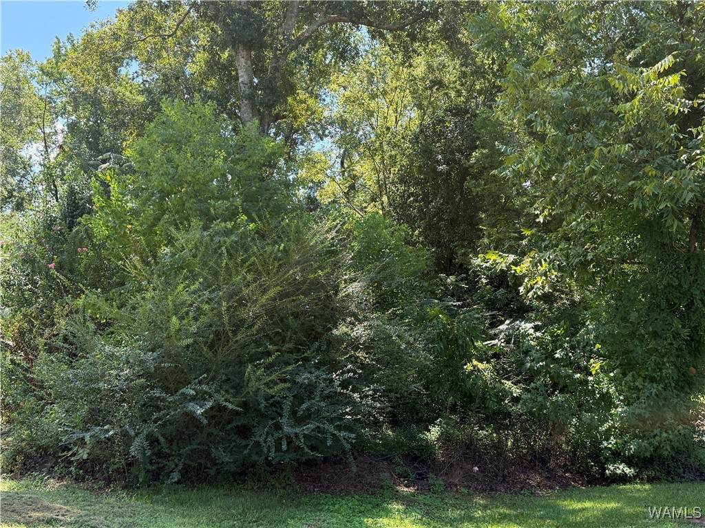 000 Hood Street - Photo 1