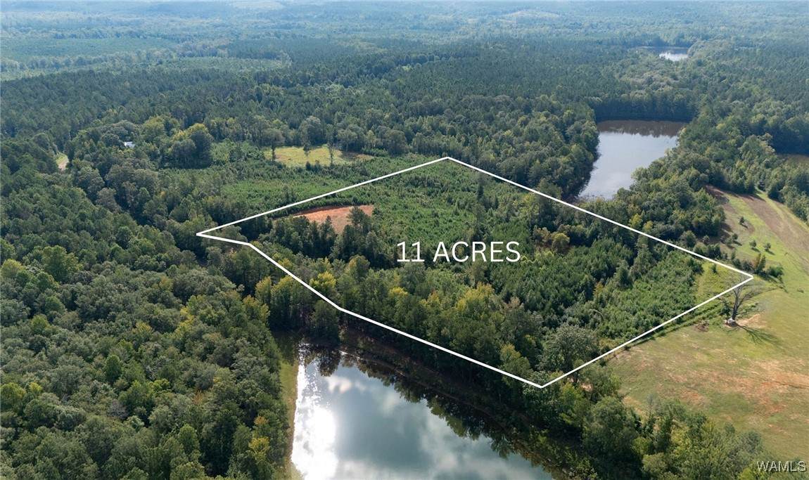 00 County Rd 51 - Photo 1