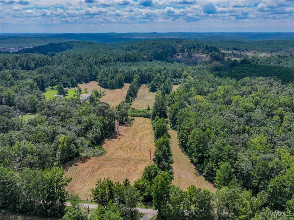 11643 Carter Road - Photo 1