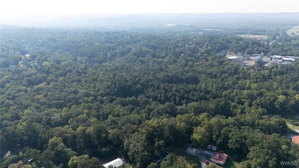 0 Magnolia Circle - Photo 1