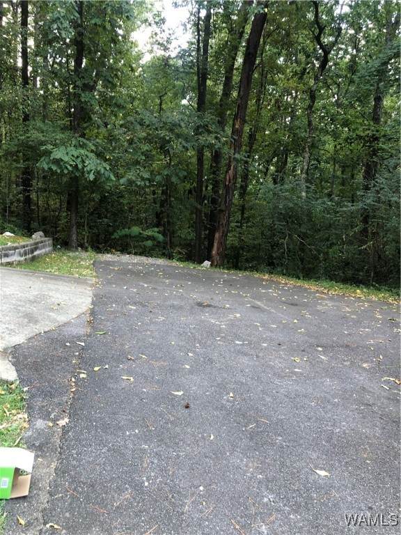 7348 Toulon Ave - Photo 1