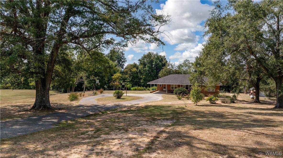 11526 Sipsey Valley Road - Photo 1