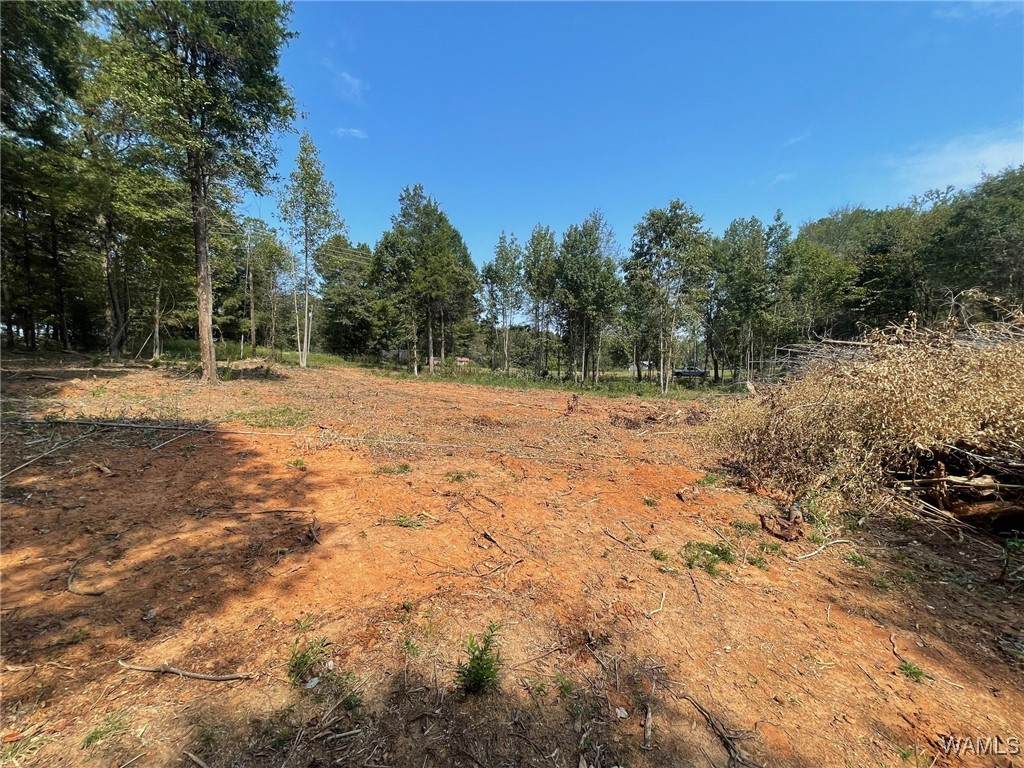 Lot 5 Sugarberry Farms - Photo 1