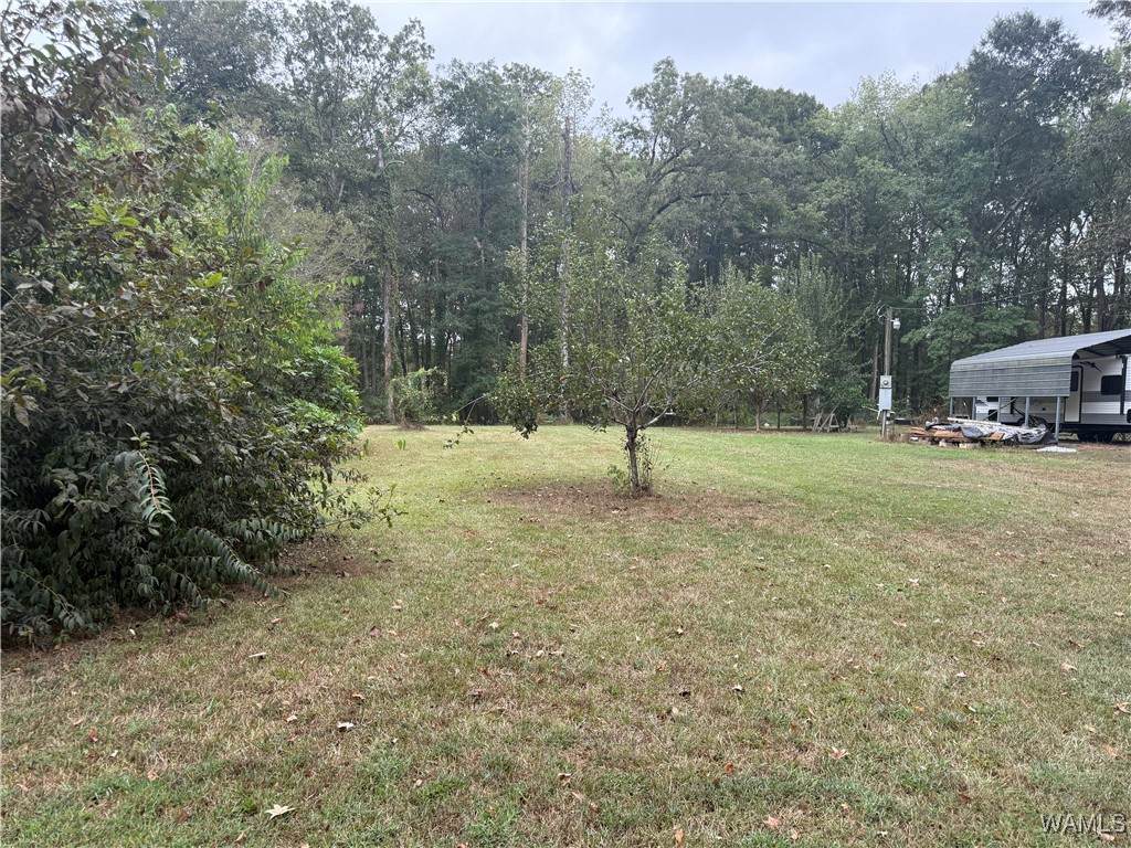 https://bt-photos.global.ssl.fastly.net/tuscaloosa/orig_boomver_1_171181-2.jpg