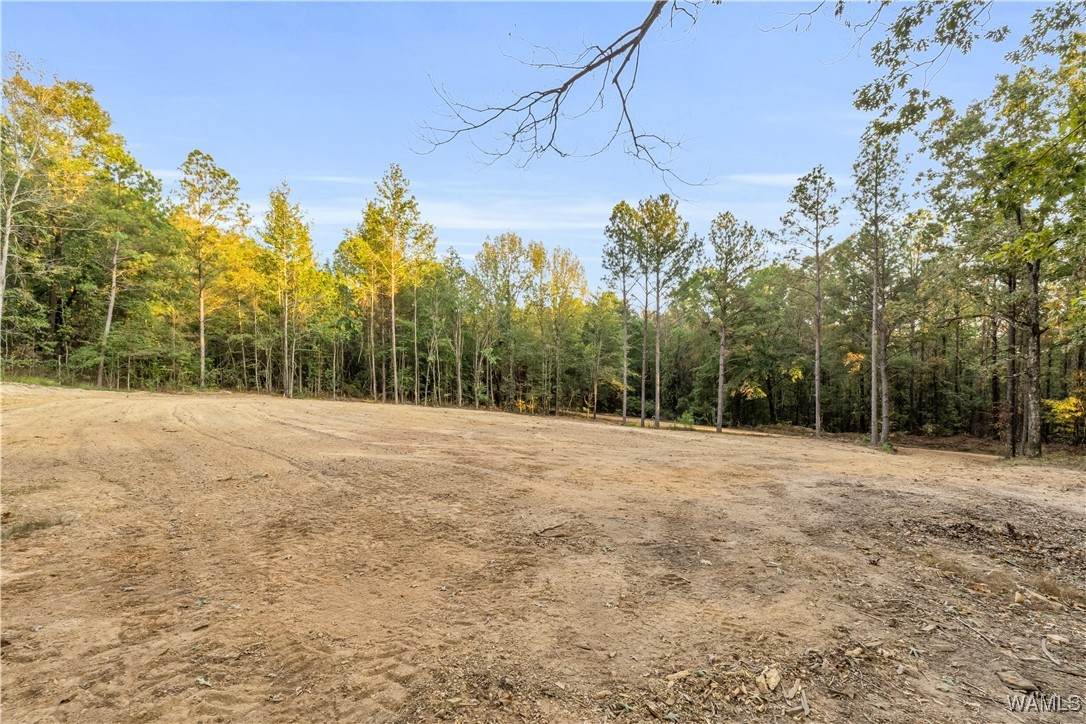 https://bt-photos.global.ssl.fastly.net/tuscaloosa/orig_boomver_1_171199-2.jpg