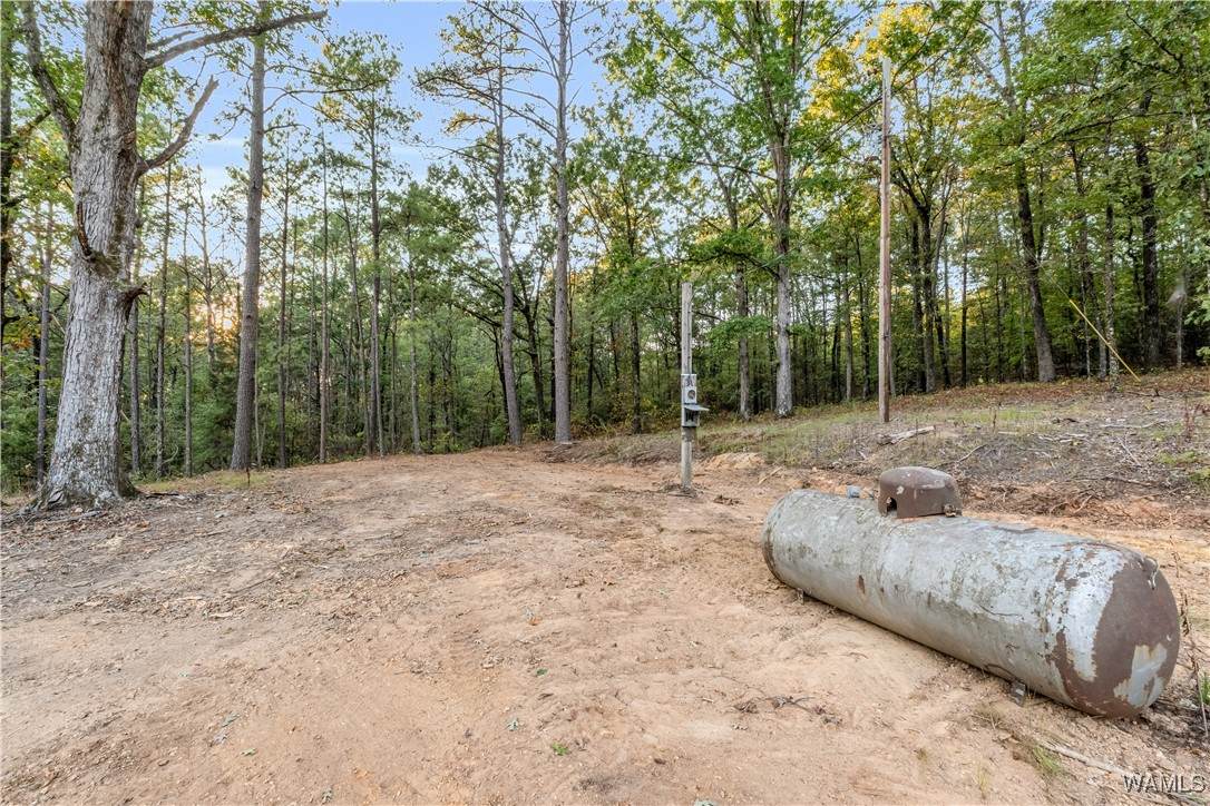 https://bt-photos.global.ssl.fastly.net/tuscaloosa/orig_boomver_1_171199-2.jpg
