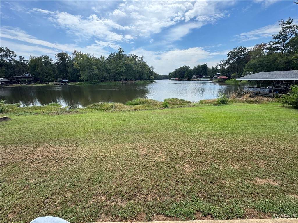 124 Clear Creek Road - Photo 1