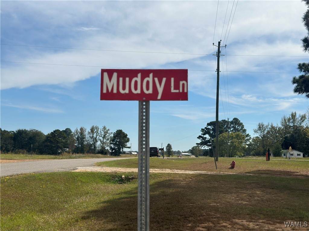 291 Muddy Lane - Photo 1
