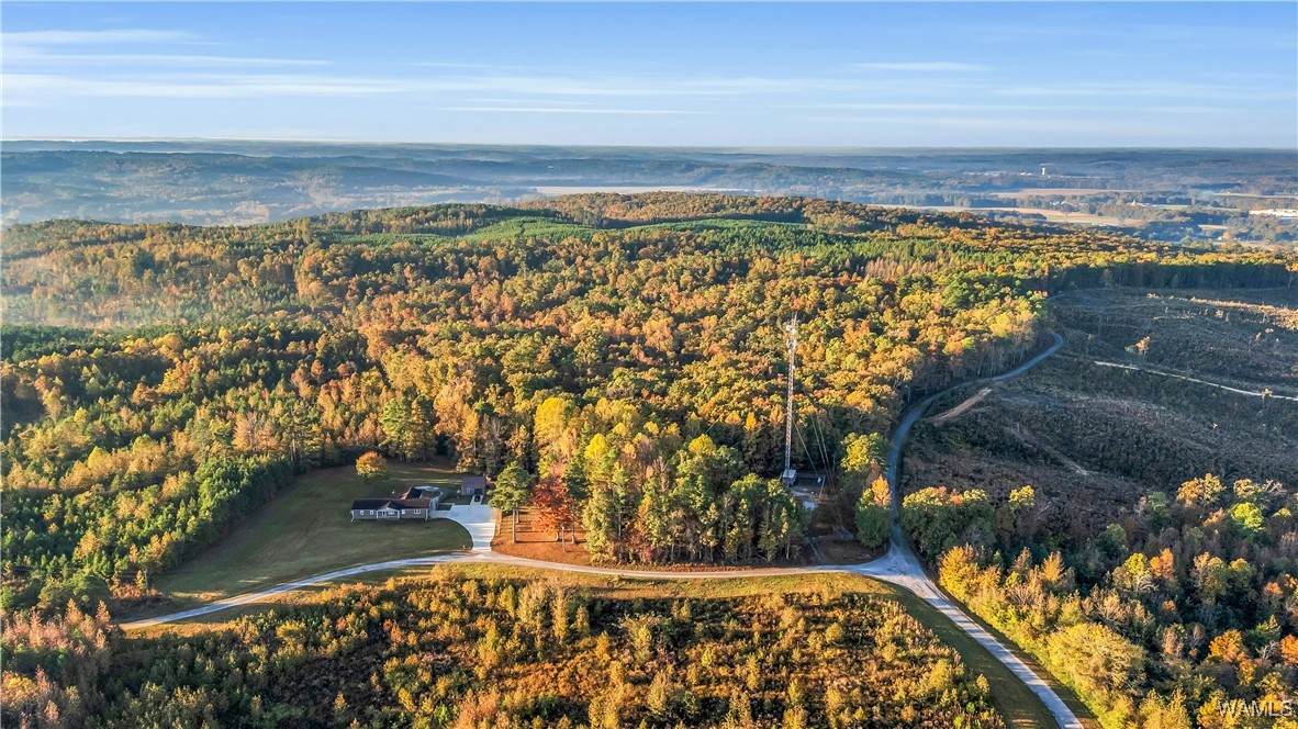 TBD Liberty Trl - Photo 1