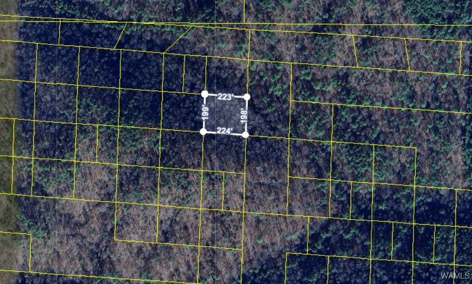 0 Handley Road - Photo 1