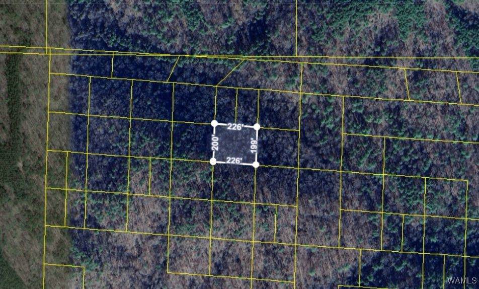 00 Handley Road - Photo 1