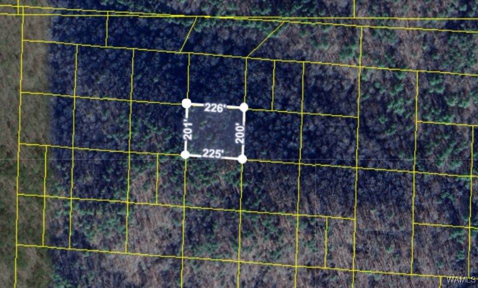 000 Handley Road - Photo 1