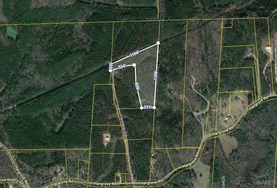 14304 Hargrove Road - Photo 1