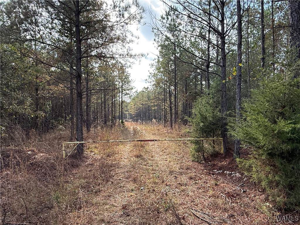 0000 Old Hwy 18 - Photo 1