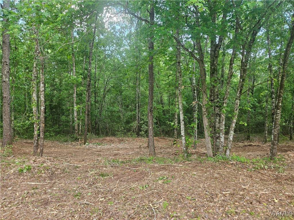 5 Lot 5 Magnolia Creek Drive - Photo 1