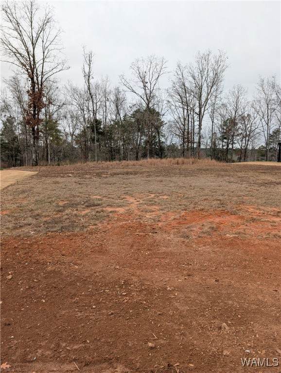 13928 Water Color Pointe - Photo 1