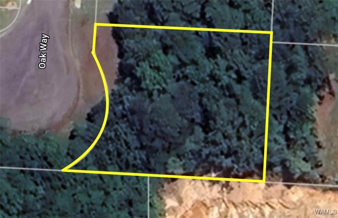 4605 Oak Way - Photo 1