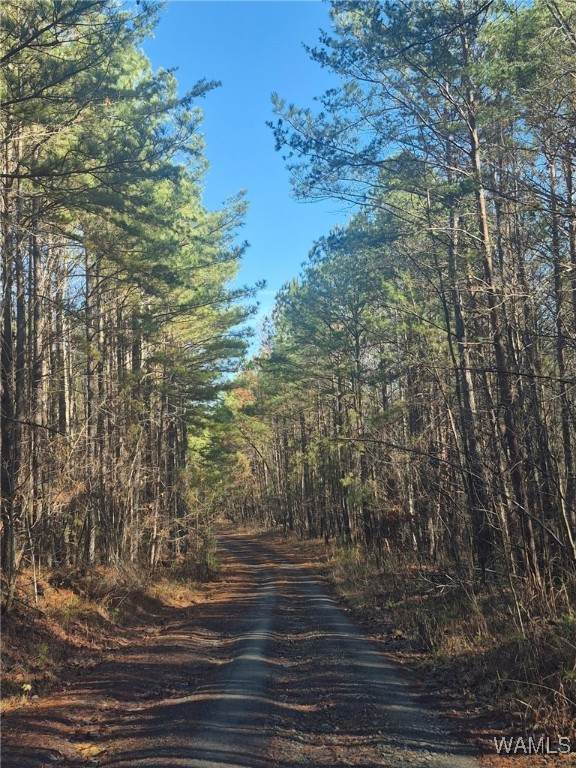 14132 Shattuck Drive - Photo 1